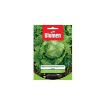 Graines de laitue – Période de plantation / semis – Blumen