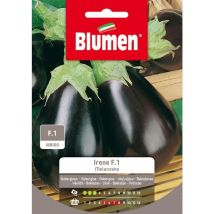 Semi Melanzana Irene F1 Sementi Blumen Orto