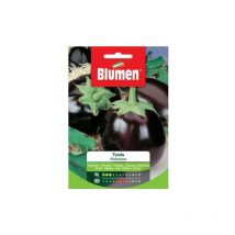 Graines d'aubergine rondes