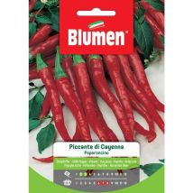 Semi peperoncino piccante di cayenna Blumen