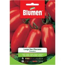 Graines de tomates longues San Marzano dans une enveloppe