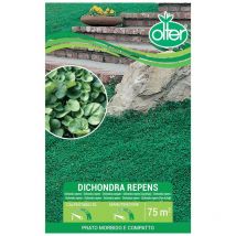 Dichondra Repens Olter Disponibile nei Formati da 100 - 200 gr - size 500 gr