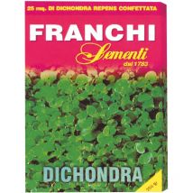 Semi Prato Dichondra Franchi