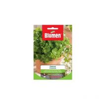 Graines de persil commun Blumen