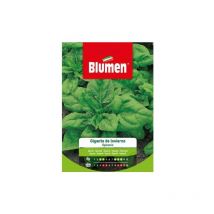 Graines d'épinards d'hiver géantes Blumen