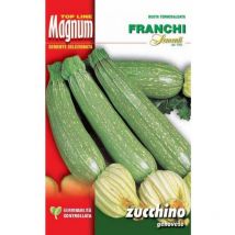 Semi zucchino genovese busta magnum franchi sementi