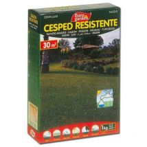Eurogarden - fplus semillas fito cesped resistente 1kg 04455 , semillas fito cesped resistente 1kg 04455