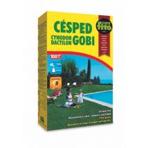 Semillas Fito - Semillas Pildoradas Cynodon Dactilon Gobi Fitó 1kg