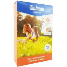 Gardeneas - Semilla sol de Césped Grama Fina - 1 kg