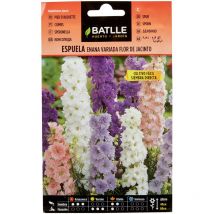 Espuela - Enana - Fiore de giacinto - Semillas Batlle