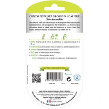 Semillas de achicoria rizada grande Pancalière bio Los Dedos Verdes