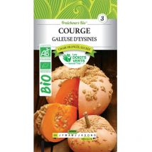 Semillas de Calabaza Galeuse d'Eysines bio Los Dedos Verdes