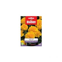 Blumen - Semillas de Caléndula Enana Double Yellow