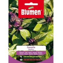 Semillas De Canela y Albahaca En Bolsa