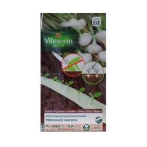 Semillas de cebolla printanier parisien Vilmorin cultivo fácil)