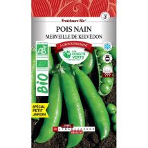 Semillas de guisante enano maravilla de Kelvedon bio Los Dedos Verdes 30g