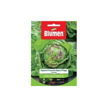 Blumen - Semillas de Lechuga Spring Head