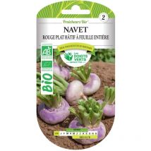 Semillas de nabos rojos planos tempranos bio Los Dedos Verdes