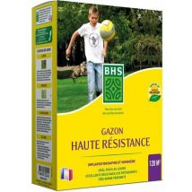 BHS - sbm Gazon Haute Resistance 3KG X4 - GSJ3