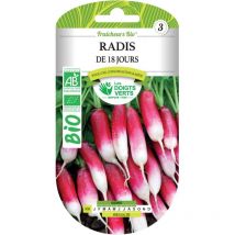 Semillas de rábano BIO de 18 días Los Dedos Verdes
