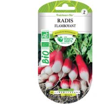 Semillas de rábanos flamboyantes BIO Los Dedos Verdes