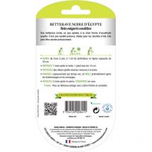 Semillas de remolacha negra de Egipto bio Los Dedos Verdes