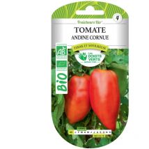 Semillas de tomate andino cornudo bio Los Dedos Verdes