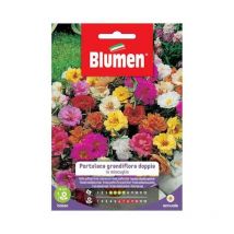 Blumen - Semillas Dobles Portulaca Grandiflora En Sobre