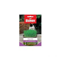 Blumen - Semillas Hierba Para Gatos