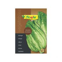 Semillas lechuga amarilla hortelano