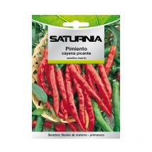 Semillas pimiento cayena picante (1.5 gramos) semillas verduras, horticultura, horticola, semillas huerto.