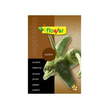 Semillas pimiento padrón Flower