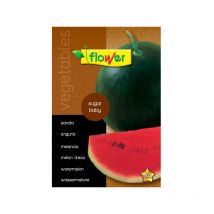 Semillas sandía sugarbaby Flower