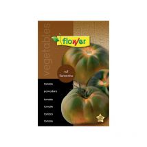 Semillas tomate raf florentino Flower