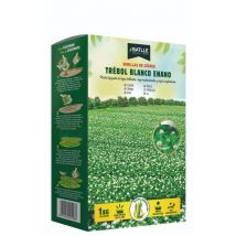 Semillas Batlle - Semillas trébol enano blanco repens Batlle 1 kg