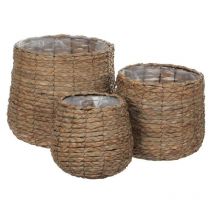 Sencha Basket - Medium