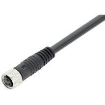 Binder - 79-3382-52-04 Sensor-/Aktor-Steckver konfektioniert M8 Buchse, gerade 2.00 m Polzahl s