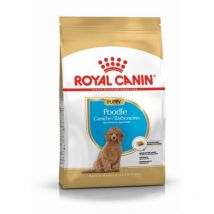 Royal Canin - Poodle Puppy 3 kg
