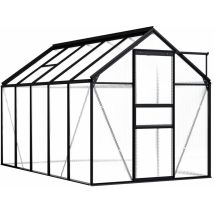 Serre Anthracite Aluminium 5,89 m² Vidaxl