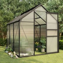 Serre Anthracite Aluminium 3,61 m² Vidaxl