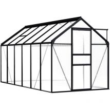 Serre Anthracite Aluminium 7,03 m²