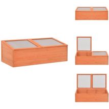 Serre Bois 100x50x34 cm - Serre De Jardin - Serre Bois - Serre Froide - Abri Jardin - Tunnel Jardin