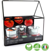 Serre avec châssis zinc noir - Tomates bio - 3 pots