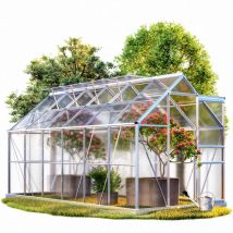 Serre de jardin en aluminium 11,73m³ abri extérieur de plantes légumes fruits 380x190cm 4 fenêtres 380x190x195cm avec base