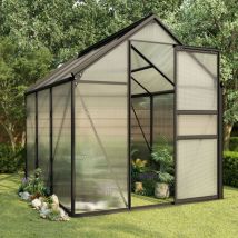 Soekavia - Serre de Jardin Serre d'hivernage Serre tunnel Anthracite Aluminium 3,61 m² NSME8389