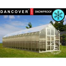 Dancover - Serre polycarbonate titan Classic 480, 19,1m², 2,35x8,12m, Argent