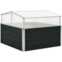 Serre, Serre De Jardinage Anthracite 100x100x77 cm Acier galvanisé WRG463687 DESIGN IN