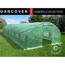 Dancover - Serre Tunnel 4x10,6x2m, 42,4m², Vert
