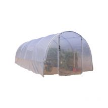 Serre tunnel ÉCO-18 larg 3 m x 6 m, Aération Latérale 2