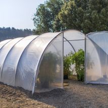 Serre tunnel ÉCO-27 larg 4.50 m x 6 m, Aération Latérale 2